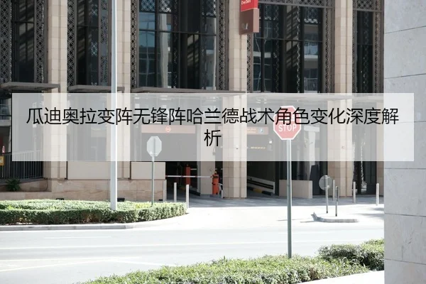 gua-di-ao-la-bian-zhen-wu-feng-zhen-ha-lan-de-zhan-shu-jue-se-bian-hua-shen-du-jie-xi-2-422.jpg
