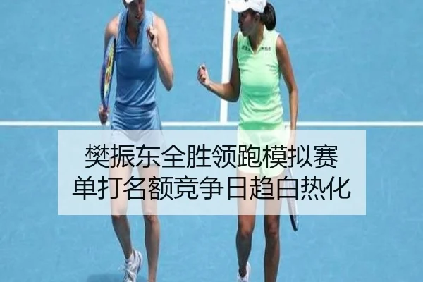 fan-zhen-dong-quan-sheng-ling-pao-mo-ni-sai-dan-da-ming-e-jing-zheng-ri-qu-bai-re-hua-2-338.jpg