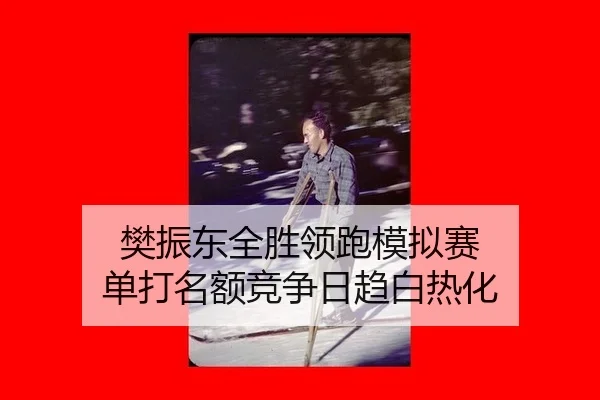 fan-zhen-dong-quan-sheng-ling-pao-mo-ni-sai-dan-da-ming-e-jing-zheng-ri-qu-bai-re-hua-3-394.jpg