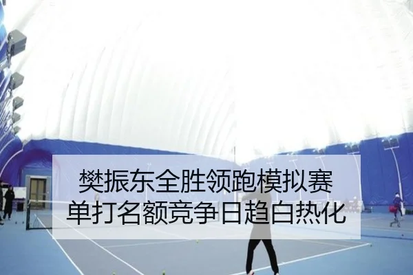 樊振东全胜领跑模拟赛 单打名额竞争日趋白热化